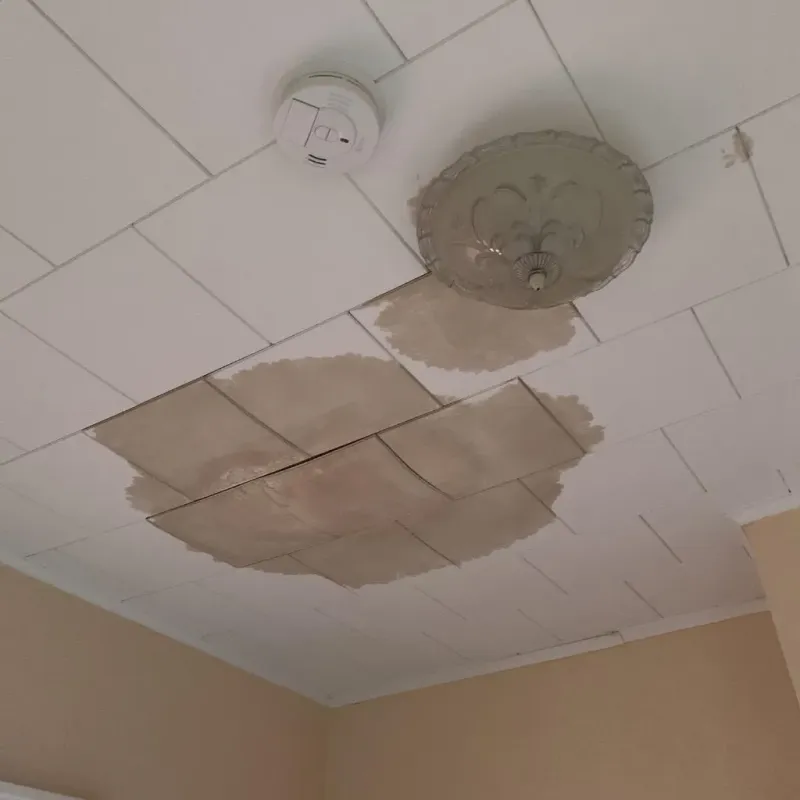 Ceiling Water Damage Repair in Cramerton, NC