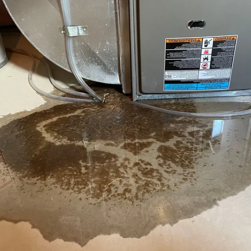 Pipe Burst and Leak Restoration in Cramerton, NC
