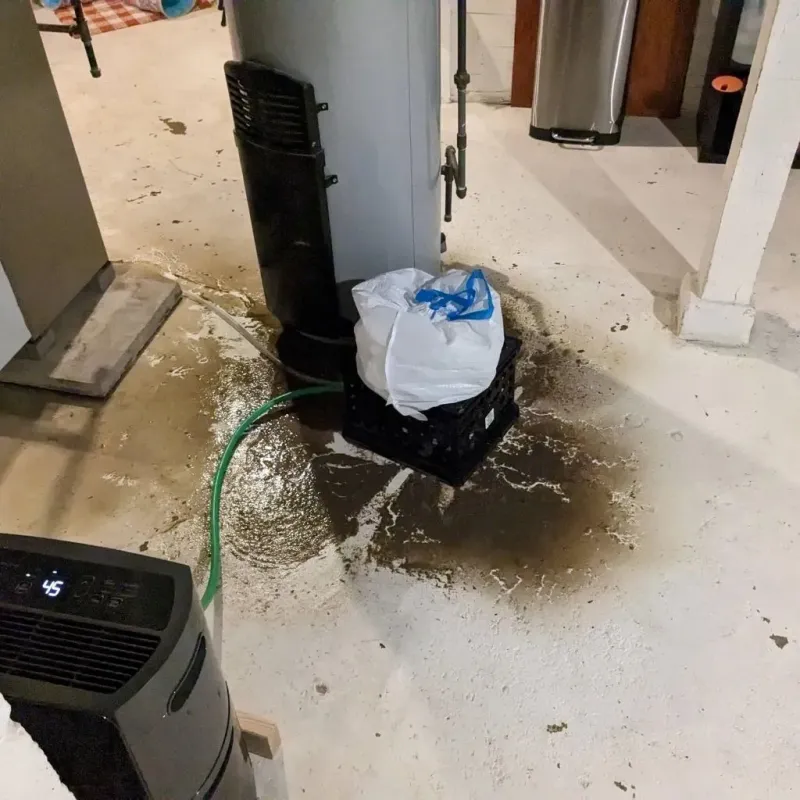 Sewage Backup Cleanup Service in Cramerton, NC